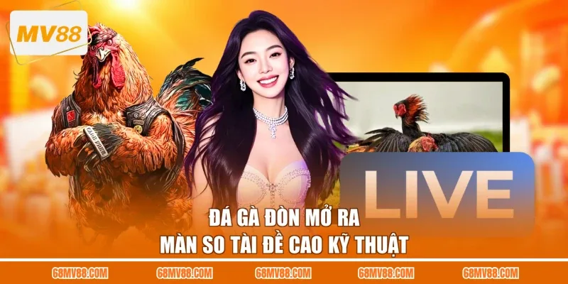 Đá gà đòn mở ra màn so tài đề cao kỹ thuật 